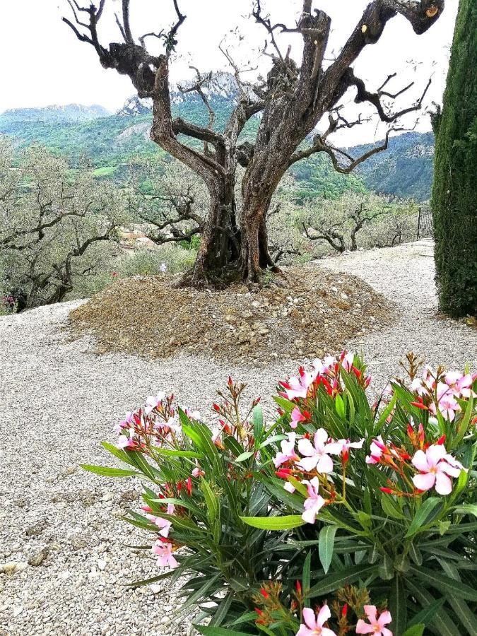 Le Mas Christiane Buis-les-Baronnies Esterno foto