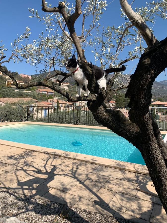 Le Mas Christiane Buis-les-Baronnies Esterno foto